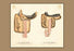 Ladies' Saddles #4 12x18 Giclee on canvas