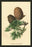 Cones of the Cedar 12x18 Giclee on canvas