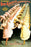 The Gaiety Dancers 12x18 Giclee on canvas