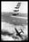 Douglas Dauntless Dive Bombers 12x18 Giclee on canvas