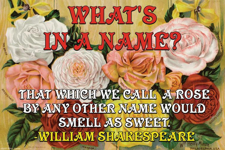 What's in a Name? 12x18 Giclee on canvas