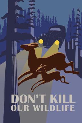 Don't Kill Our Wildlife 12x18 Giclee on canvas