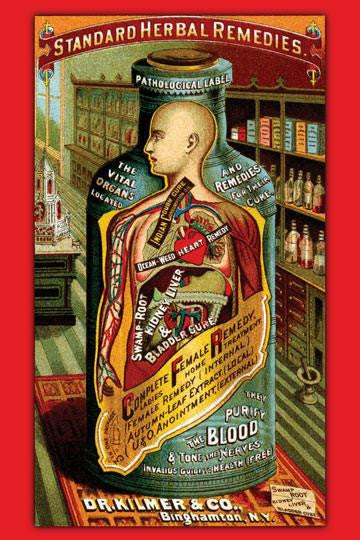 Dr. Kilmer's Standard Herbal Remedies 12x18 Giclee on canvas