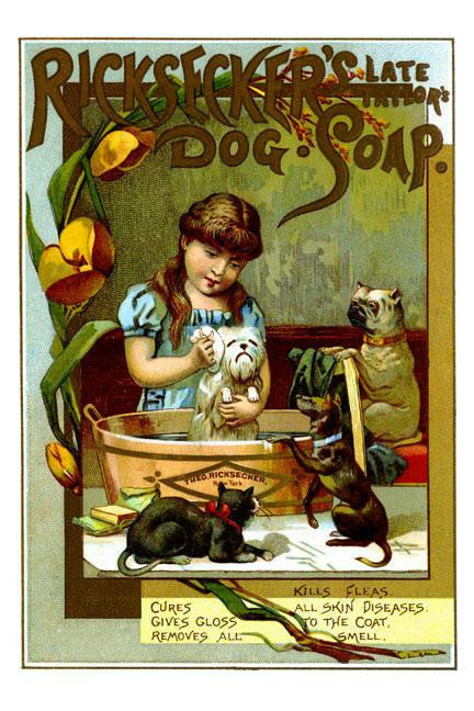 Ricksecker's Dog Soap 12x18 Giclee on canvas