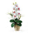 White Single Stem Phalaenopsis Silk Orchid Arrangement