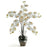 Cream Phalaenopsis Liquid Illusion Silk Flower Arrangement
