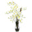Cream Dendrobium w-Vase Silk Flower Arrangement