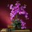 Orchid Phalaenopsis Silk Orchid Flower w-Leaves (6 Stems)