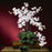 White Phalaenopsis Silk Orchid Flower w-Leaves (6 Stems)