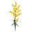 Yellow Dancing Lady (Set of 12)