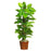 63 Inch Large Leaf Philodendron Silk Plant (Real Touch)