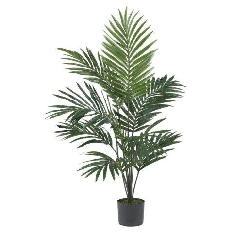 5 Ft Kentia Palm Silk Tree
