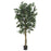 5 Ft Smilax Tree
