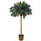 6 Ft Sago Palm Silk Tree