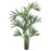 6 Ft Kentia Palm Silk Tree