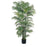 6 Ft Areca Silk Palm Tree