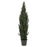 6 Ft Mini Cedar Pine Tree (Indoor-Outdoor)