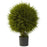 32 Inch Cedar Ball Topiary