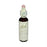 Bach Flower Remedies Essence Beech - 0.7 fl oz