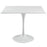 Lippa 36" Square Wood Top Dining Table 1124-WHI