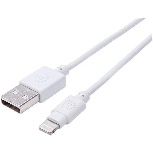10FT LTNG CBL ML WHT