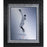 Aaron Judge New York Yankees Framed 16x20 Platinum Collection