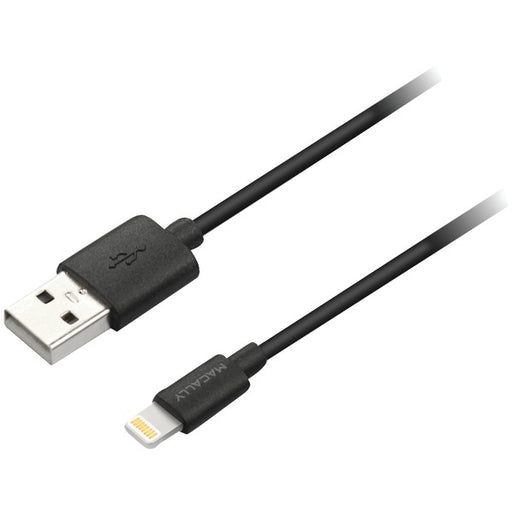 LTNG CBL 3FT BLK