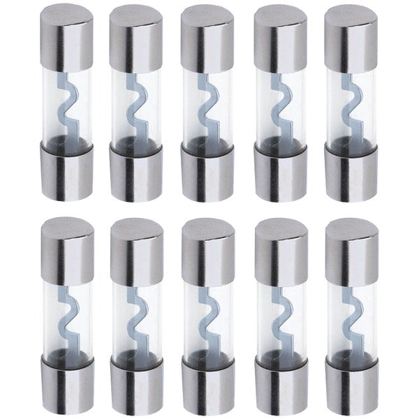 AGU FUSES 10 PK 40A