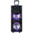 DL 10IN DJ PA SPKR DISCO