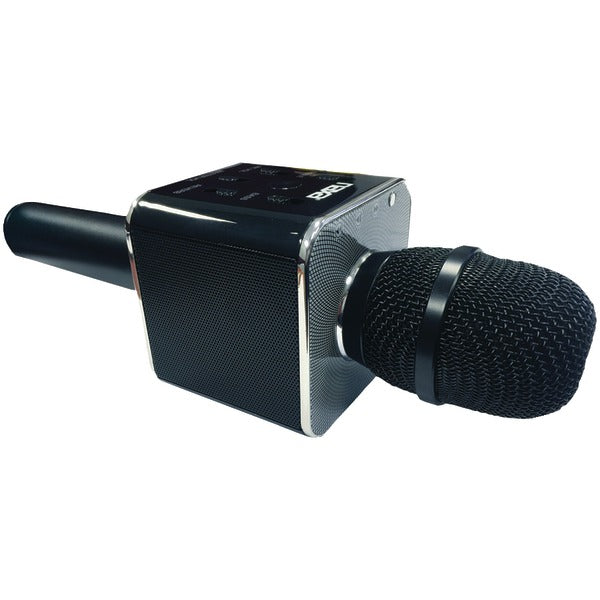HNDHLD ALLIN1 BT KARAOKE