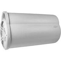 Bazooka Mbta10100 Marine 100-watt Amplified Subwoofer (10