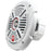 Db Drive Amphibious Aps 6.0w Okur(r) Amphibious 2-way Speakers (6.5")