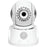 SECURITYMAN IPCAM-SDII Outdoor iSecurity Camera with 8GB SD(TM) Card Recorder