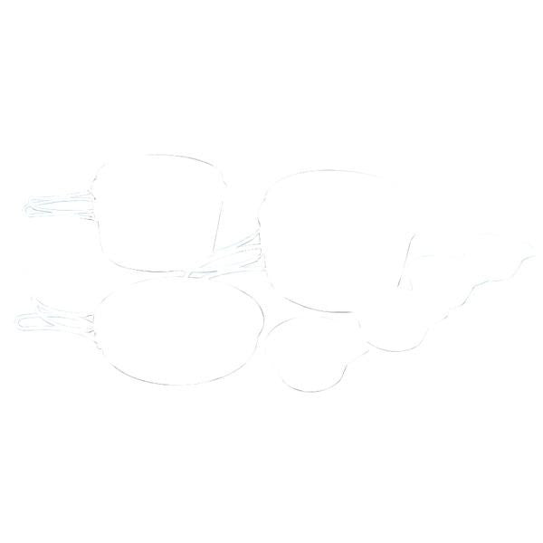 STANSPORT 252 4-Person Heavy-Duty Cook Set
