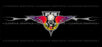 Window Graphic - 30x65 Pro Drag - Drag or Die
