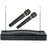 DUAL WRLSS MIC SYS