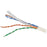CAT6 UTP CMR 1000FT WHT