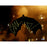 Christian Bale Signed Horizontal Batman Buildings Background 11x14 Photo Beckett