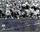 1969 New York Jets Team Signed Super Bowl III  Joe Namath Throwing Motion B&W 16X20 Photo ( 24 Signature)